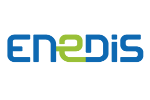 Enedis_quadri-300×300